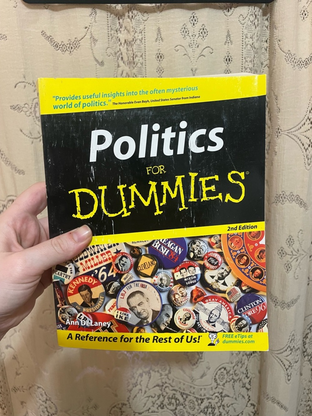 Politics Made Simple - Yellow & Teal Dummies Book